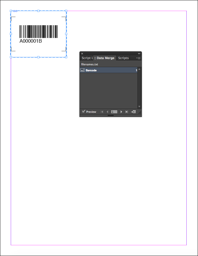 Barcode preview data merge